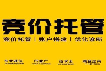 XX行业竞价广告的投放策略与效果分析